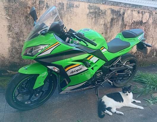 KAWASAKI-NINJA 300 KAWASAKI-NINJA 300-2025