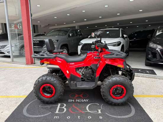 SHINERAY-ATV 200-2024