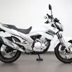 YAMAHA YS 250 FAZER YAMAHA YS 250 FAZER