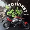 BAJAJ DOMINAR 250 BAJAJ DOMINAR 250