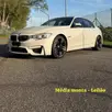 BMW M3 3.0 I6 GASOLINA SEDAN AUTOMÁTICO BMW M3 3.0 I6 GASOLINA SEDAN AUTOMÁTICO