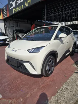 BYD DOLPHIN MINI 38 KW ELÉTRICO GL