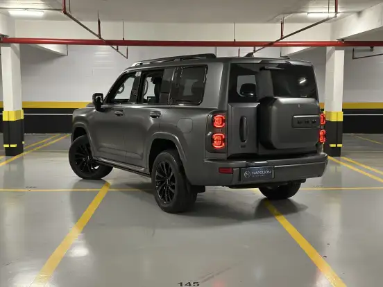 GWM-HAVAL H9-2025