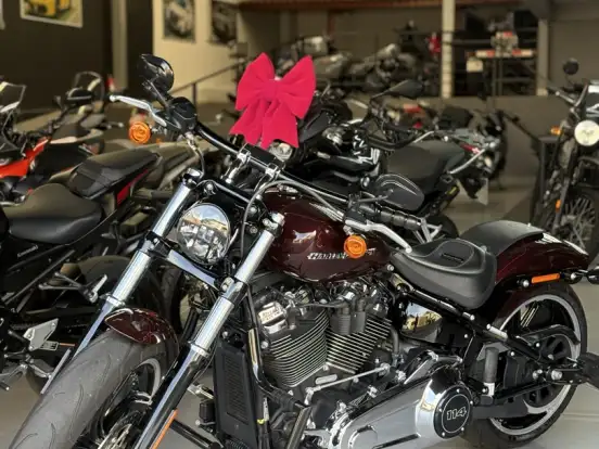 HARLEY-DAVIDSON-SOFTAIL BREAKOUT 114 HARLEY-DAVIDSON-SOFTAIL BREAKOUT 114-2021