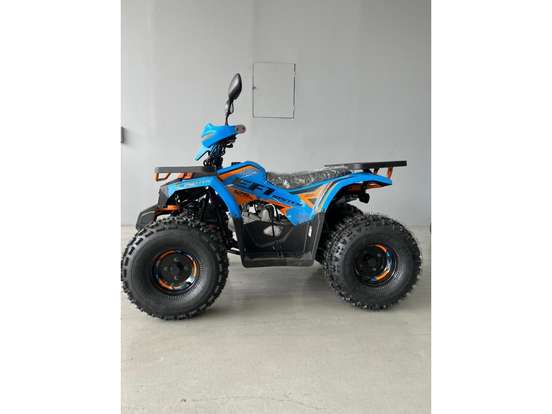 SHINERAY-ATV 125 SHINERAY-ATV 125-2025