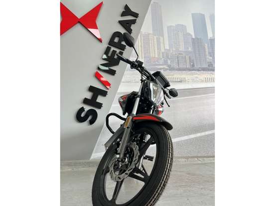 SHINERAY-FREE 150 SHINERAY-FREE 150-2026