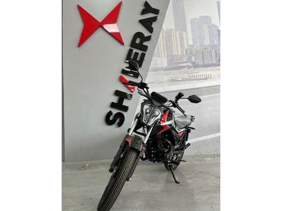 SHINERAY-FREE 150 SHINERAY-FREE 150-2026