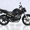 YAMAHA FACTOR YBR 150 ED YAMAHA FACTOR YBR 150 ED