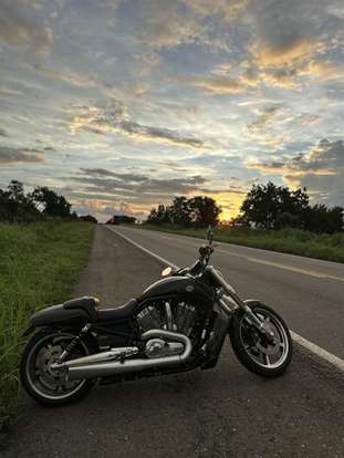 HARLEY-DAVIDSON-V-ROD MUSCLE-2015