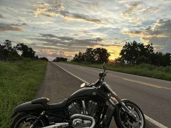 HARLEY-DAVIDSON-V-ROD MUSCLE HARLEY-DAVIDSON-V-ROD MUSCLE-2015