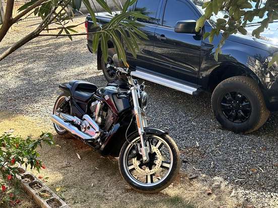 HARLEY-DAVIDSON-V-ROD MUSCLE HARLEY-DAVIDSON-V-ROD MUSCLE-2015