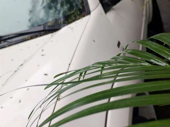 MITSUBISHI-L200-3.5 SPORT HPE 4X4 V6 24V FLEX 4P AUTOMÁTICO MITSUBISHI-L200-2010