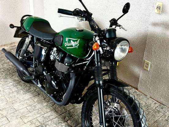 TRIUMPH-BONNEVILLE T 100 865 TRIUMPH-BONNEVILLE T 100 865-2015