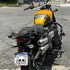 TRIUMPH SCRAMBLER 900 TRIUMPH SCRAMBLER 900