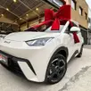 BYD DOLPHIN MINI 38 KW ELÉTRICO BYD DOLPHIN MINI 38 KW ELÉTRICO
