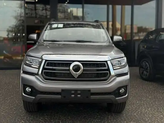 GWM-POER P30-2026