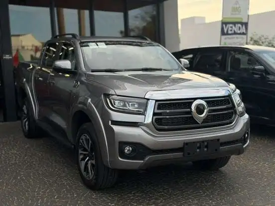 GWM-POER P30-2026