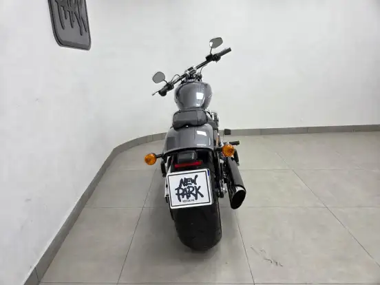 HARLEY-DAVIDSON-SOFTAIL BREAKOUT 114-2022