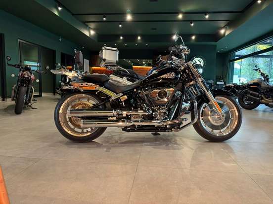 HARLEY-DAVIDSON-SOFTAIL FAT BOY 117-2025