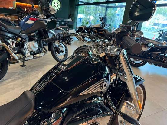 HARLEY-DAVIDSON-SOFTAIL FAT BOY 117-2025
