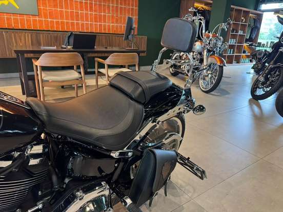 HARLEY-DAVIDSON-SOFTAIL FAT BOY 117-2025