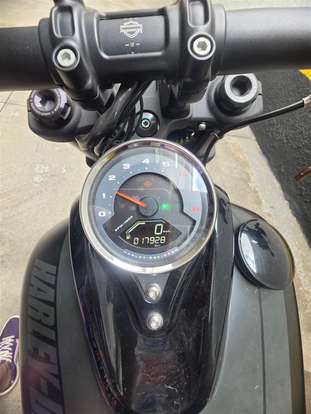 HARLEY-DAVIDSON-SOFTAIL FAT BOB 114-2019