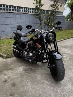 HARLEY-DAVIDSON-SOFTAIL FAT BOY SPECIAL-2013