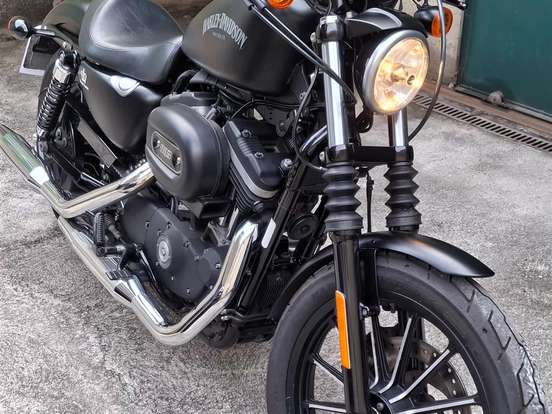 HARLEY-DAVIDSON-SPORTSTER IRON 883 HARLEY-DAVIDSON-SPORTSTER IRON 883-2015