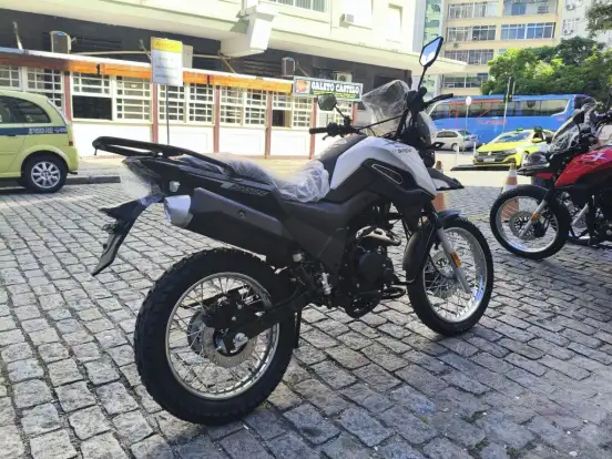 SHINERAY-SHI 175 SHINERAY-SHI 175-2025