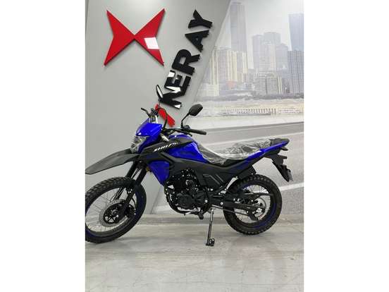 SHINERAY-SHI 175-2026