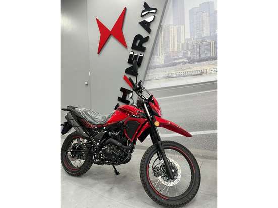 SHINERAY-SHI 175-2026