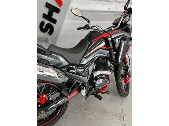 SHINERAY-SHI 250 SHINERAY-SHI 250-2026