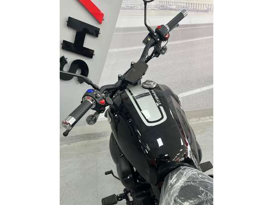SHINERAY-TITANIUM 250-2026