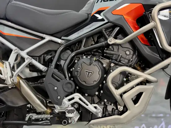 TRIUMPH-TIGER 900 RALLY PRO-2026
