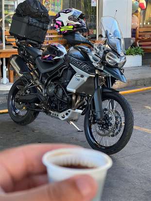 TRIUMPH-TIGER 800 XCA-2019