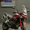 TRIUMPH TIGER 900 GT PRO TRIUMPH TIGER 900 GT PRO
