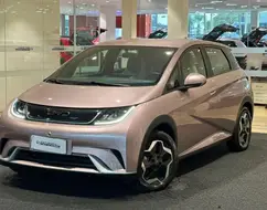 BYD DOLPHIN 44,9 KW ELÉTRICO BYD DOLPHIN 44,9 KW ELÉTRICO