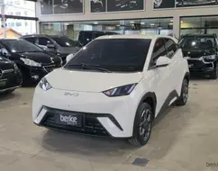 BYD DOLPHIN MINI 38 KW ELÉTRICO GS BYD DOLPHIN MINI 38 KW ELÉTRICO GS