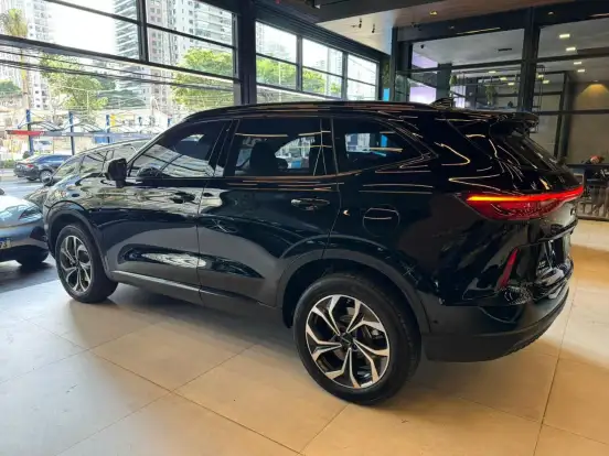 GWM-HAVAL H6-1.5 PHEV AWD E-TRACTION GWM-HAVAL H6-2023