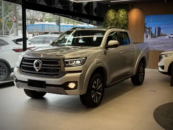 GWM-POER P30-2025