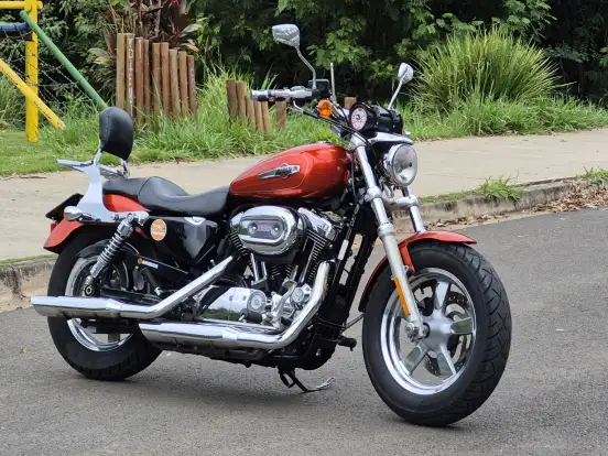 HARLEY-DAVIDSON-SPORTSTER 1200 XL CUSTOM HARLEY-DAVIDSON-SPORTSTER 1200 XL CUSTOM-2014
