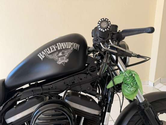 HARLEY-DAVIDSON-SPORTSTER XL 883N IRON-2017