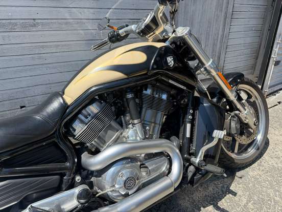 HARLEY-DAVIDSON-V-ROD MUSCLE HARLEY-DAVIDSON-V-ROD MUSCLE-2015