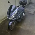 HONDA PCX HONDA PCX