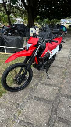 HONDA-XR 300L TORNADO-2024