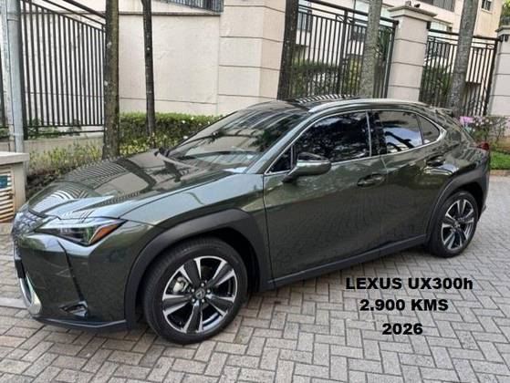 LEXUS UX 300h 2.0 VVT-I HYBRID CVT