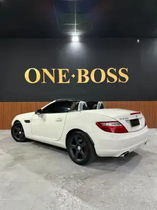 MERCEDES-BENZ-SLK 250-2013