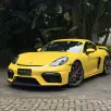 PORSCHE 718 4.0 H6 GASOLINA CAYMAN GT4 PDK PORSCHE 718 4.0 H6 GASOLINA CAYMAN GT4 PDK