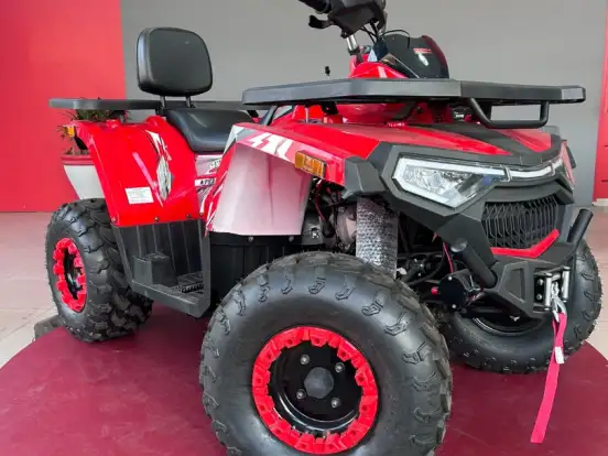 SHINERAY-ATV 200 SHINERAY-ATV 200-2026