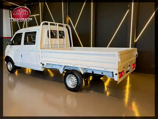 SHINERAY-DTRUCK-2026